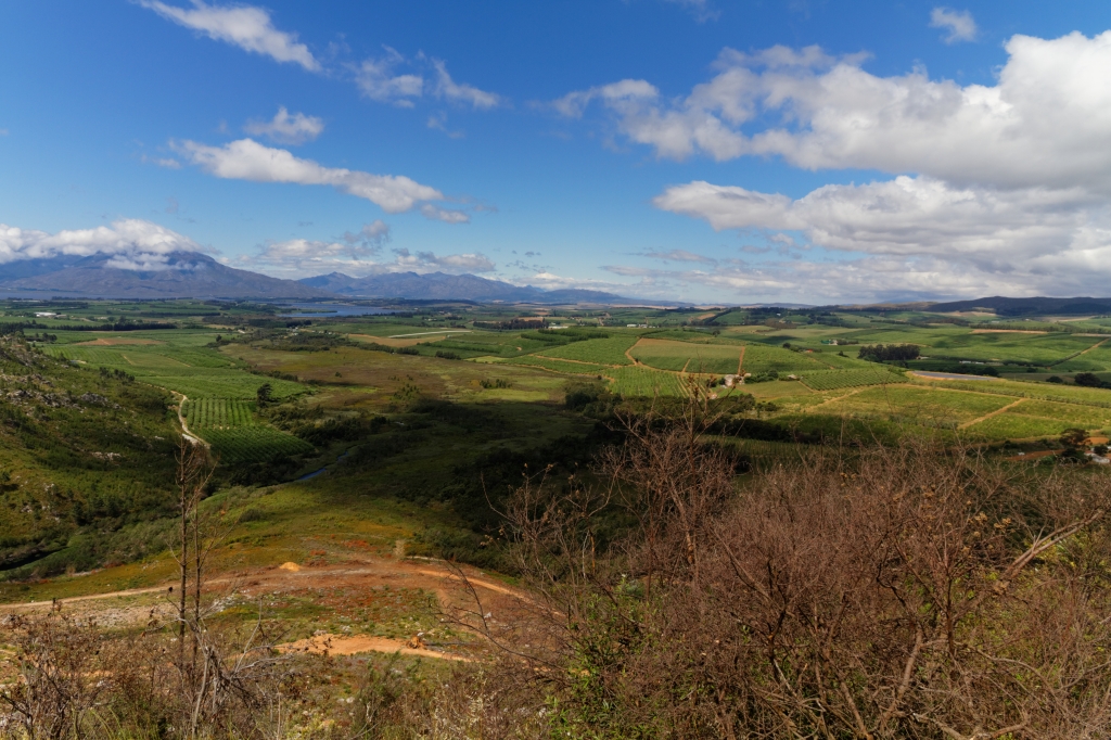 00 - Le Cap (25).jpg